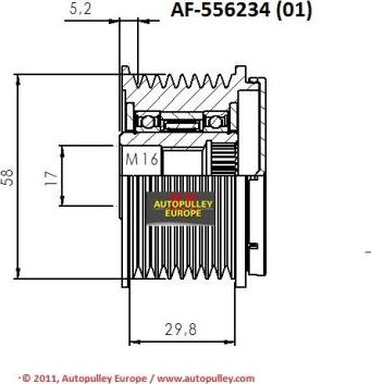 AINDE AF556234 - Piedziņas skriemelis, Ģenerators autodraugiem.lv