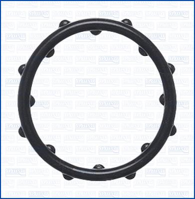 Ajusa 01570600 - Blīvgredzens, Dzesēšanas šķidruma cauruļvads autodraugiem.lv