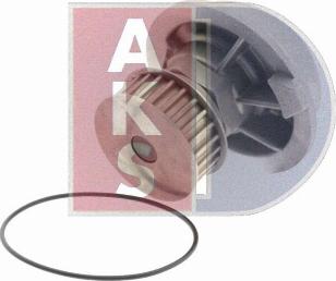 AKS Dasis 570491N - Ūdenssūknis autodraugiem.lv