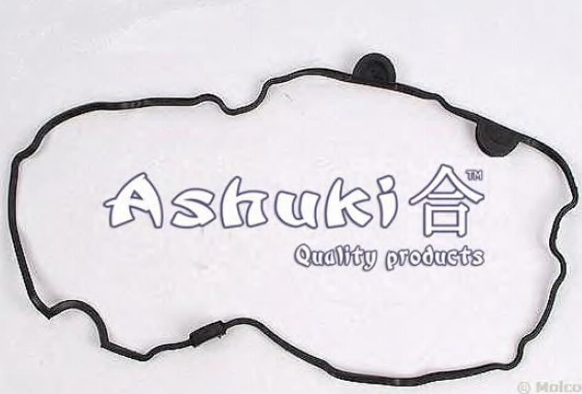 Ashuki 0366-6404 - Blīve, Motora bloka galvas vāks autodraugiem.lv