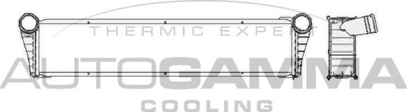 Autogamma 104699 - Radiators, Motora dzesēšanas sistēma autodraugiem.lv