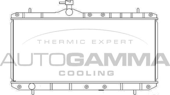 Autogamma 104106 - Radiators, Motora dzesēšanas sistēma autodraugiem.lv