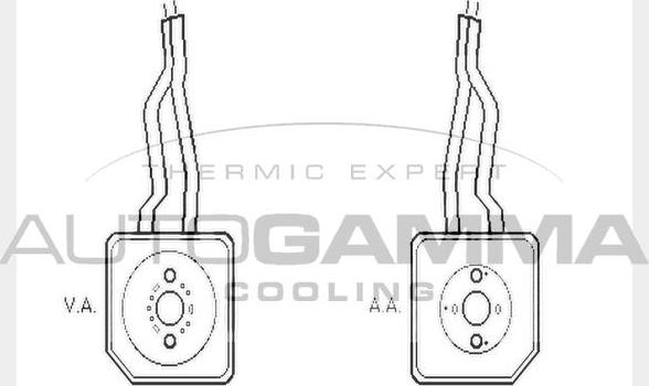 Autogamma 104754 - Eļļas radiators, Motoreļļa autodraugiem.lv