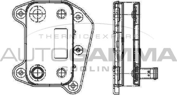 Autogamma 104789 - Eļļas radiators, Motoreļļa autodraugiem.lv