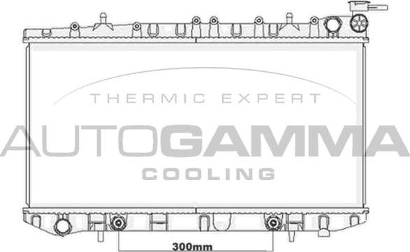 Autogamma 105653 - Radiators, Motora dzesēšanas sistēma autodraugiem.lv