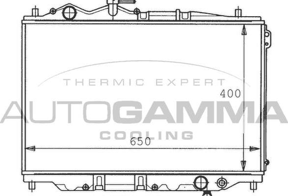 Autogamma 100498 - Radiators, Motora dzesēšanas sistēma autodraugiem.lv