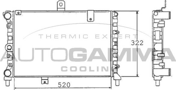 Autogamma 100452 - Radiators, Motora dzesēšanas sistēma autodraugiem.lv