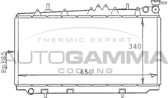 Autogamma 100629 - Radiators, Motora dzesēšanas sistēma autodraugiem.lv