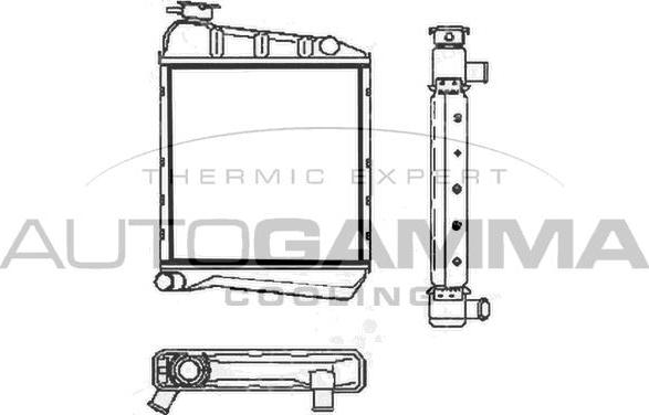 Autogamma 100075 - Radiators, Motora dzesēšanas sistēma autodraugiem.lv