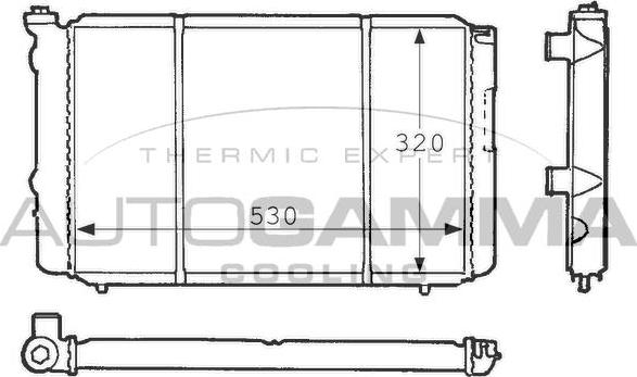 Autogamma 100862 - Radiators, Motora dzesēšanas sistēma autodraugiem.lv