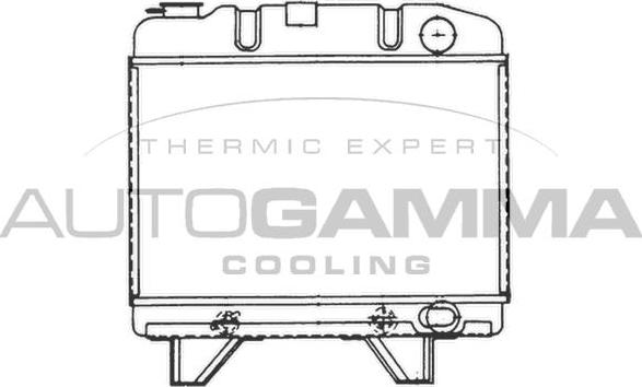 Autogamma 100786 - Radiators, Motora dzesēšanas sistēma autodraugiem.lv