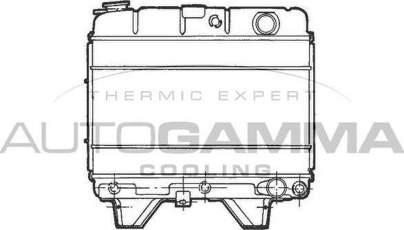 Autogamma 100787 - Radiators, Motora dzesēšanas sistēma autodraugiem.lv