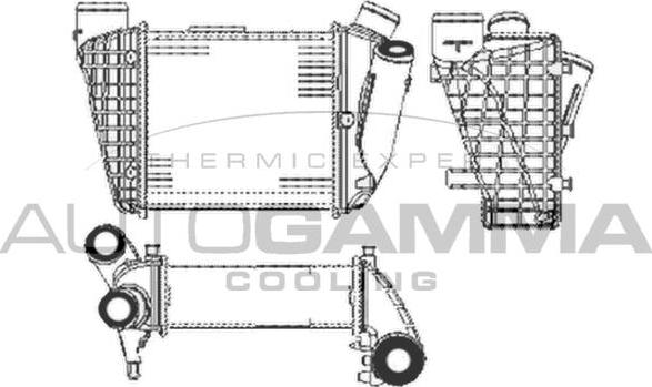 Autogamma 102985 - Starpdzesētājs autodraugiem.lv