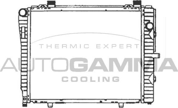 Autogamma 102166 - Radiators, Motora dzesēšanas sistēma autodraugiem.lv