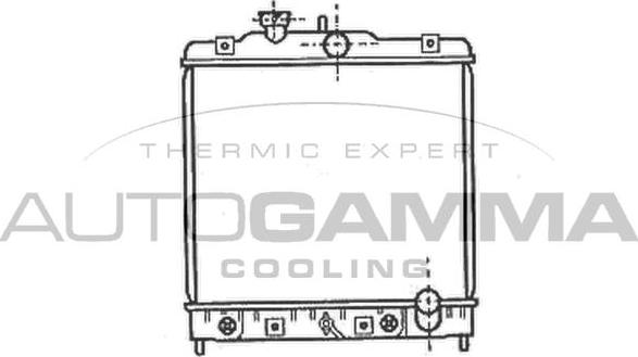 Autogamma 102107 - Radiators, Motora dzesēšanas sistēma autodraugiem.lv