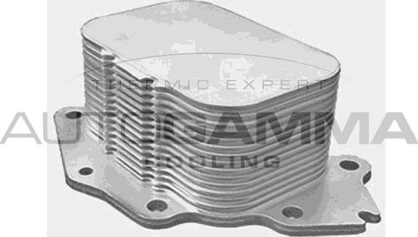 Autogamma 107882 - Eļļas radiators, Motoreļļa autodraugiem.lv