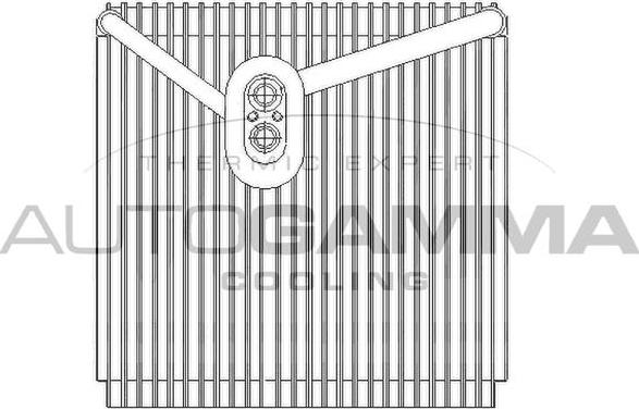 Autogamma 112127 - Iztvaikotājs, Gaisa kondicionēšanas sistēma autodraugiem.lv