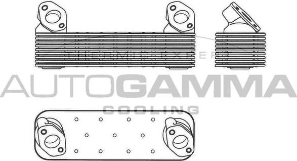 Autogamma 303710 - Eļļas radiators, Motoreļļa autodraugiem.lv