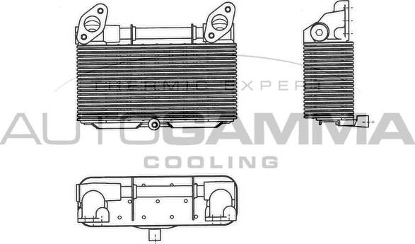 Autogamma 303712 - Eļļas radiators, Motoreļļa autodraugiem.lv