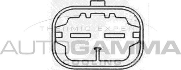 Autogamma GA200557 - Ventilators, Motora dzesēšanas sistēma autodraugiem.lv