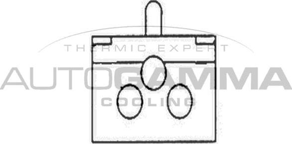 Autogamma GA201286 - Ventilators, Motora dzesēšanas sistēma autodraugiem.lv
