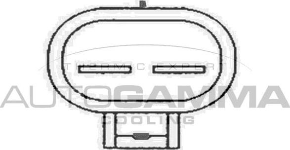 Autogamma GA220616 - Ventilators, Motora dzesēšanas sistēma autodraugiem.lv
