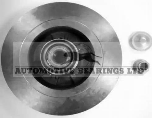 Automotive Bearings ABK1879 - Bremžu diski autodraugiem.lv