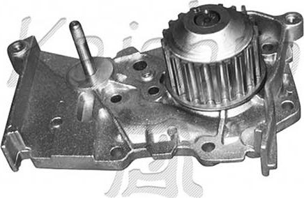 Autoteam WPA365 - Ūdenssūknis autodraugiem.lv