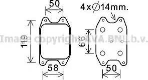 Ava Quality Cooling VW3394 - Eļļas radiators, Motoreļļa autodraugiem.lv