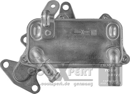 BBR Automotive 001-10-18593 - Eļļas radiators, Automātiskā pārnesumkārba autodraugiem.lv