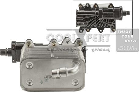 BBR Automotive 001-10-17582 - Eļļas radiators, Automātiskā pārnesumkārba autodraugiem.lv