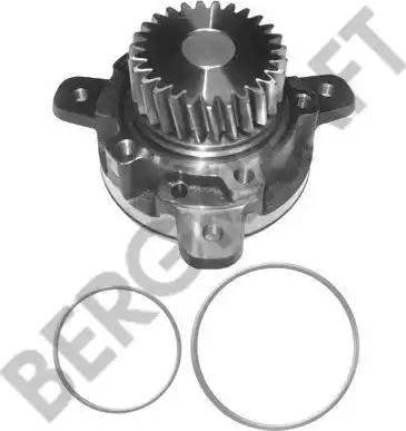 BergKraft BK4207711WP - Ūdenssūknis autodraugiem.lv