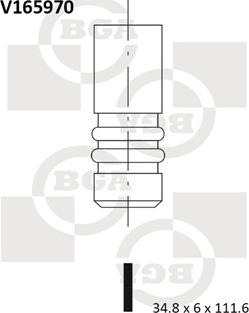 BGA V165970 - Ieplūdes vārsts autodraugiem.lv
