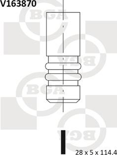 BGA V163870 - Ieplūdes vārsts autodraugiem.lv