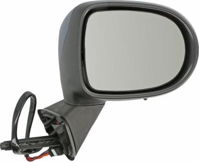 BLIC 5402-09-2002202P - Ārējais atpakaļskata spogulis autodraugiem.lv