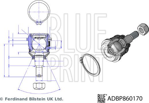 Blue Print ADBP860170 - Balst / Virzošais šarnīrs autodraugiem.lv