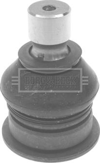 Borg & Beck BBJ5656 - Balst / Virzošais šarnīrs autodraugiem.lv