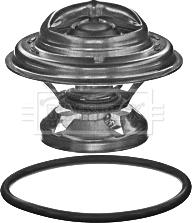 Borg & Beck BBT360 - Termostats, Dzesēšanas šķidrums autodraugiem.lv