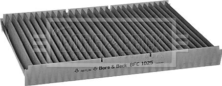 Borg & Beck BFC1025 - Filtrs, Salona telpas gaiss autodraugiem.lv