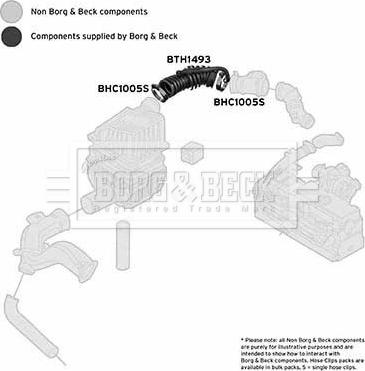 Borg & Beck BTH1493 - Gaisa tvērēja caurule, Gaisa filtrs autodraugiem.lv