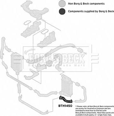 Borg & Beck BTH1450 - Pūtes sistēmas gaisa caurule autodraugiem.lv