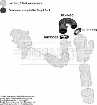 Borg & Beck BTH1460 - Gaisa tvērēja caurule, Gaisa filtrs autodraugiem.lv