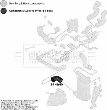 Borg & Beck BTH1610 - Pūtes sistēmas gaisa caurule autodraugiem.lv