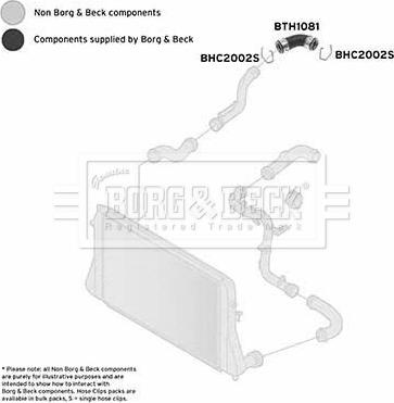 Borg & Beck BTH1081 - Pūtes sistēmas gaisa caurule autodraugiem.lv