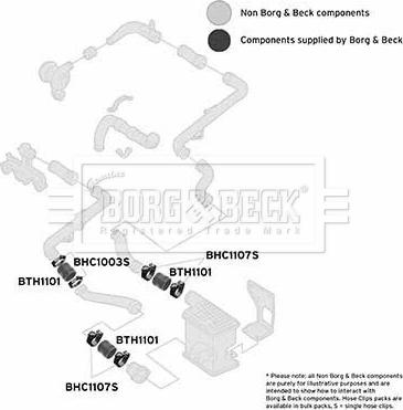 Borg & Beck BTH1101 - Pūtes sistēmas gaisa caurule autodraugiem.lv