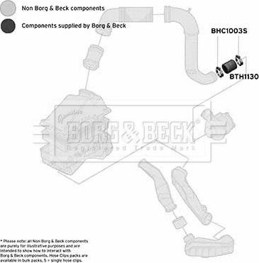 Borg & Beck BTH1130 - Pūtes sistēmas gaisa caurule autodraugiem.lv