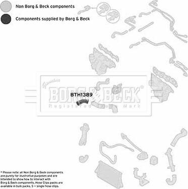 Borg & Beck BTH1389 - Pūtes sistēmas gaisa caurule autodraugiem.lv