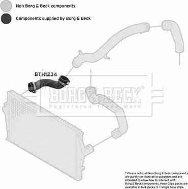 Borg & Beck BTH1234 - Pūtes sistēmas gaisa caurule autodraugiem.lv
