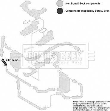 Borg & Beck BTH1719 - Pūtes sistēmas gaisa caurule autodraugiem.lv