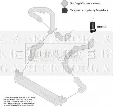 Borg & Beck BTH1715 - Pūtes sistēmas gaisa caurule autodraugiem.lv